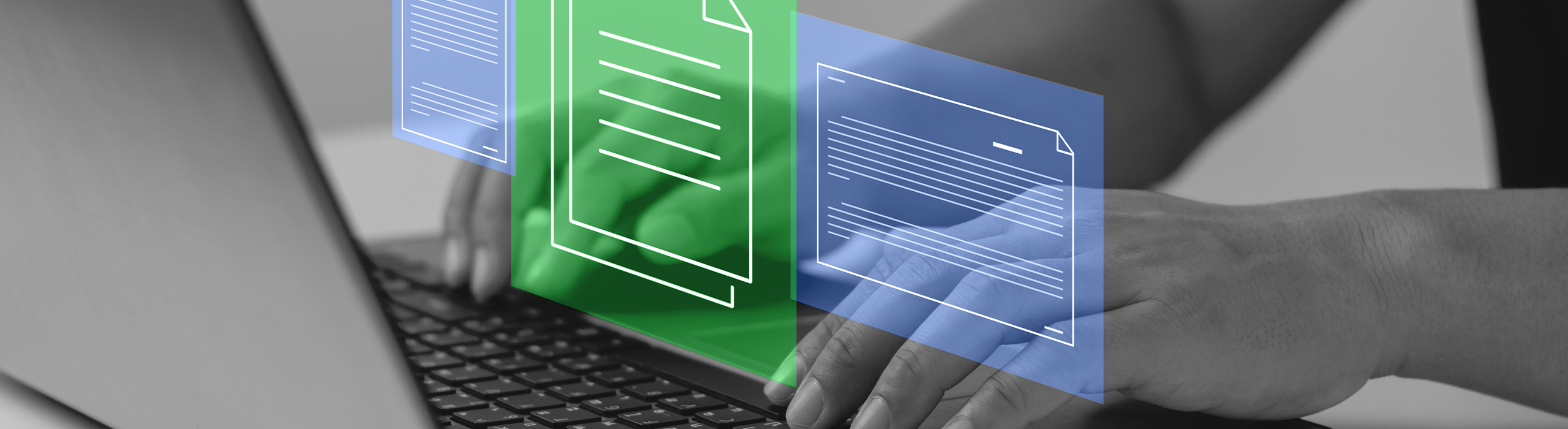 Customer using laptop to access required documents for shipping with Seven Horses